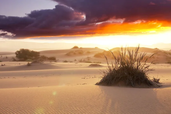 Scenic Sand Dunes Desert Instagram Filter — Stock Photo, Image