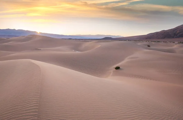 Песчаные Дюны Калифорнии Сша Красивые Природные Ландшафты — стоковое фото