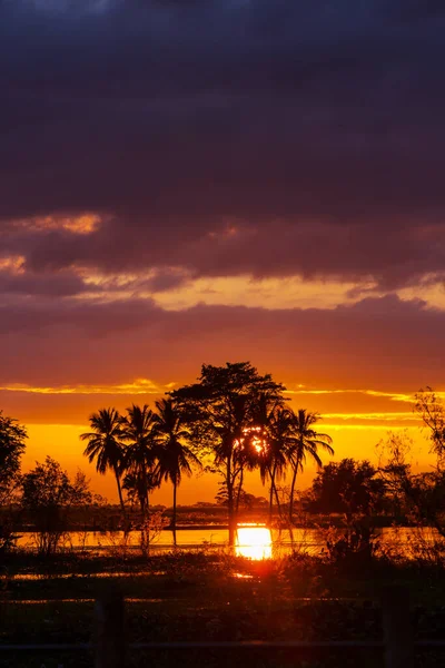 田舎の風景の中に幻想的な熱帯の夕日 メキシコ — ストック写真