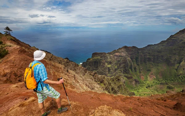 Hiker Trail Hawaii Usa — Stock Photo, Image