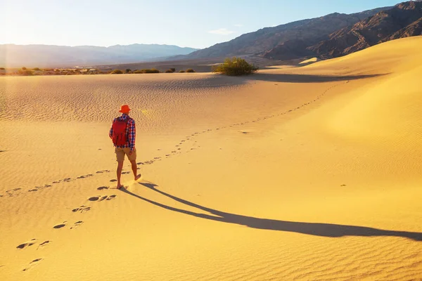 砂漠の砂丘の間でハイカー — ストック写真