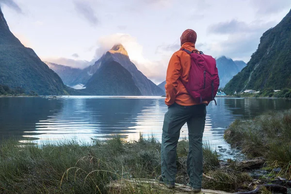 Fantastiska Naturlandskap Milford Sound Fiordland National Park Nya Zeeland — Stockfoto