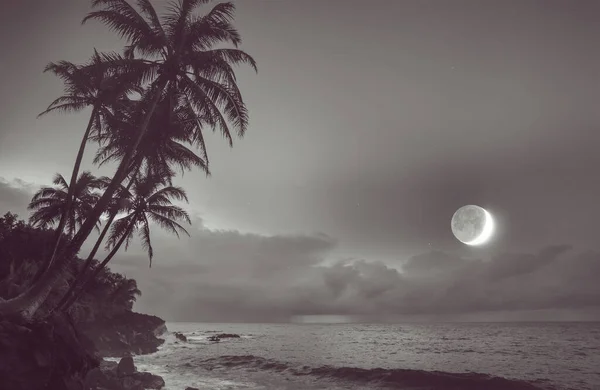 Beautiful Tropical Landscape Night — Stock Photo, Image