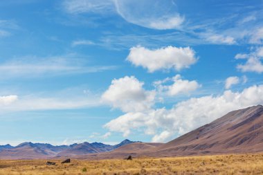 Gündoğumunda Yeni Zelanda 'nın güzel kırsal manzarası