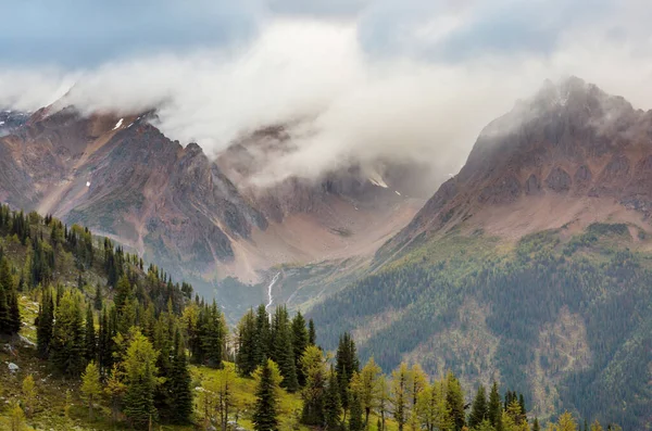 Pintoresca Vista Montaña Las Montañas Rocosas Canadienses Temporada Verano —  Fotos de Stock