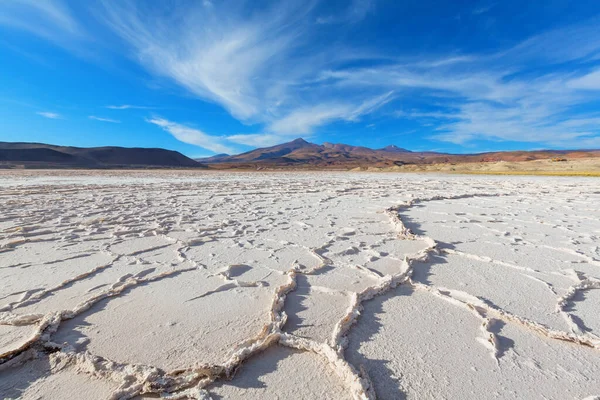 阿根廷胡胡伊省的盐荒漠 — 图库照片