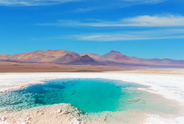 Deserto Sal Província Jujuy Argentina — Fotografia de Stock