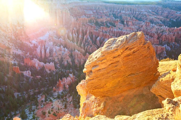 Γραφική Πολύχρωμα Ροζ Βράχια Του Bryce Canyon Εθνικό Πάρκο Στη — Φωτογραφία Αρχείου