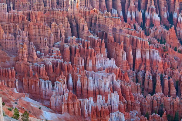 Festői Színes Rózsaszín Sziklák Bryce Canyon Nemzeti Park Utah Usa — Stock Fotó