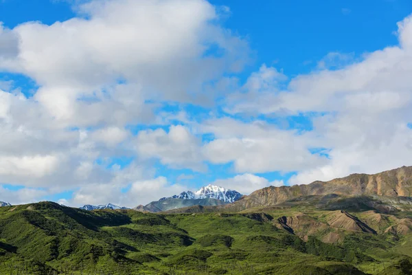 夏天的阿拉斯加风景如画的山脉 覆盖着大块积雪 冰川和岩石的山峰 — 图库照片