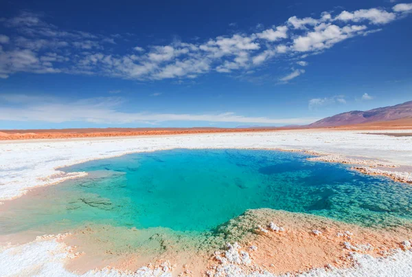 阿根廷Salinas Grandes Salt Flat Jujuy的咸水池 不同寻常的自然景观 — 图库照片