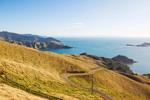 Camino Largo Nueva Zelanda Hermosa Costa Del Océano — Foto de Stock