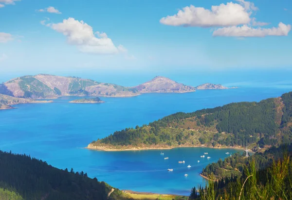 Beautiful landscapes it the Ocean Beach, New Zealand. Inspiring natural and travel background