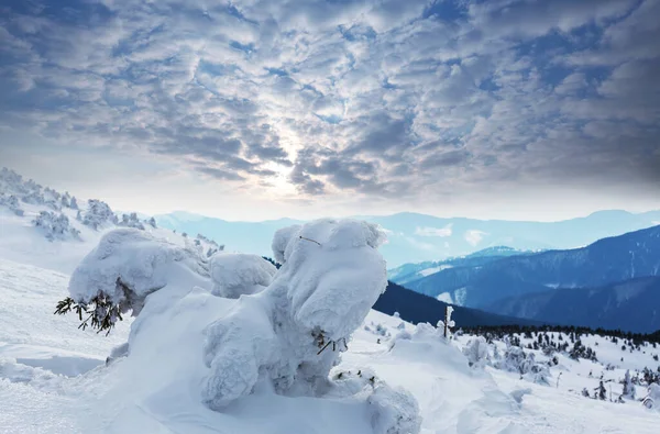 冬は雪に覆われた山 — ストック写真