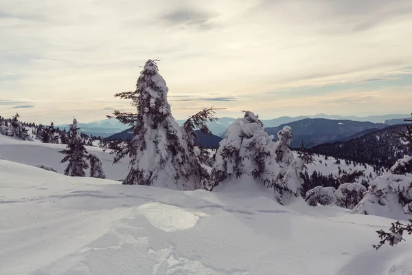 Montañas Cubiertas Nieve Invierno —  Fotos de Stock