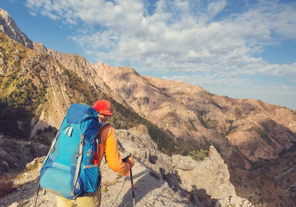 Backpacker Στην Πεζοπορία Στα Ψηλά Βουνά — Φωτογραφία Αρχείου