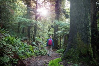 Yeni Zelanda 'da yürüyüş ve ayaktakımı. Seyahat ve macera konsepti