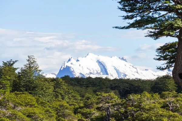 Paisajes Patagonia Sur Argentina Hermosos Paisajes Naturales —  Fotos de Stock