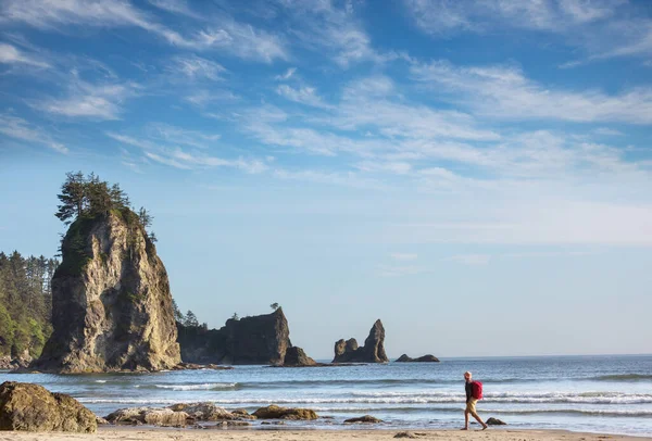 Hiker Beach Ocean Coast Vancouver Island Canada — Stock Photo, Image