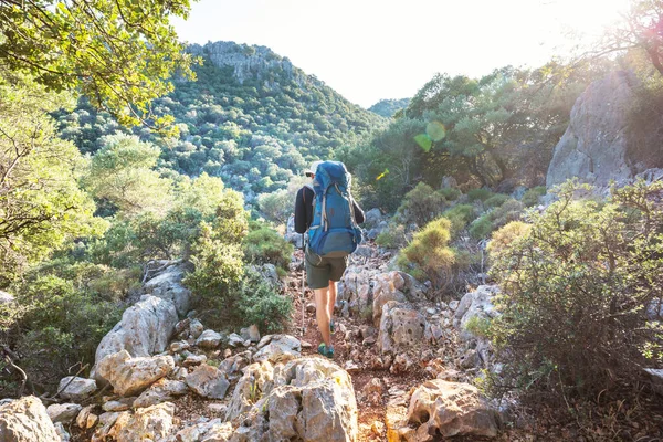 Backpacker Bei Einer Wanderung Den Sommerlichen Bergen — Stockfoto
