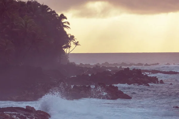 Niesamowita Hawajska Plaża Fala Oceanie Wybrzeżu Wulkanicznej Lawy — Zdjęcie stockowe