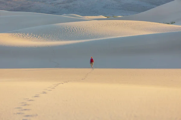 Wanderer Der Sandwüste Sonnenaufgangszeit — Stockfoto