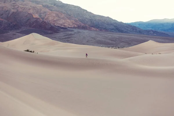 Caminhante Deserto Areia Hora Nascer Sol — Fotografia de Stock