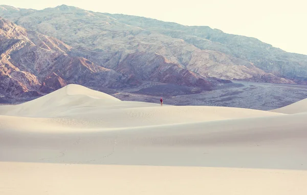 Caminante Desierto Arena Hora Del Amanecer — Foto de Stock