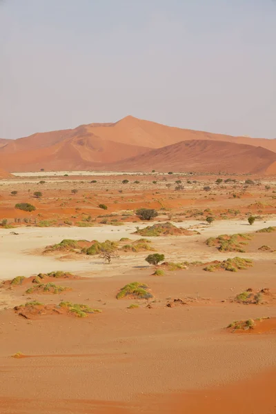 Zandduinen Namibische Woestijn Afrika Namibië — Stockfoto