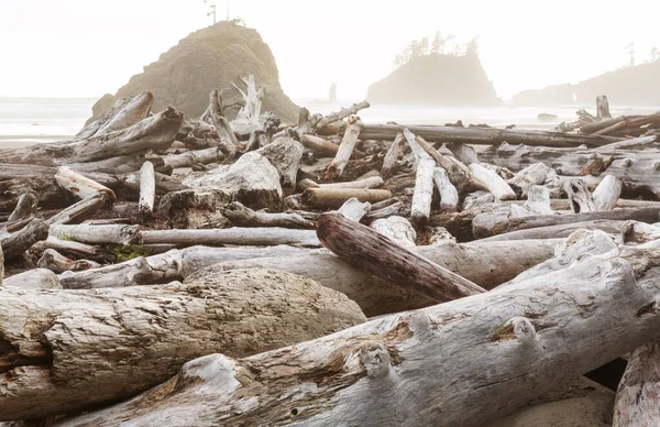 Costa Del Pacífico Escénica Rigurosa Parque Nacional Olímpico Washington Rocas — Foto de Stock