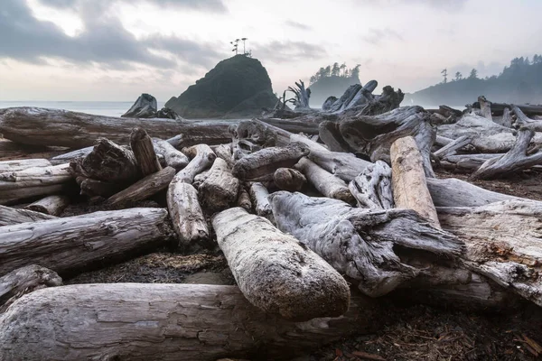 Costa Del Pacífico Escénica Rigurosa Parque Nacional Olímpico Washington Rocas — Foto de Stock