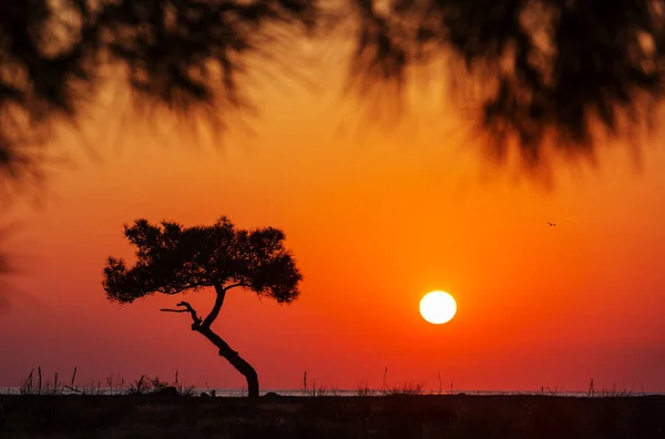 Sunset Scene Sea Beach — ストック写真