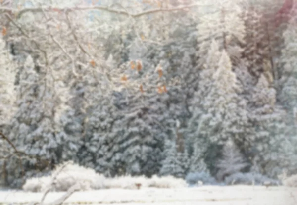 Defocused Bokeh Winter Background Good Christmas Background — Stock Photo, Image