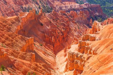 Utah, ABD 'deki Bryce Canyon Ulusal Parkı' nın renkli pembe kayaları.