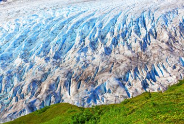 Çıkış Buzulu, Kenai Fjords Ulusal Parkı, Seward, Alaska