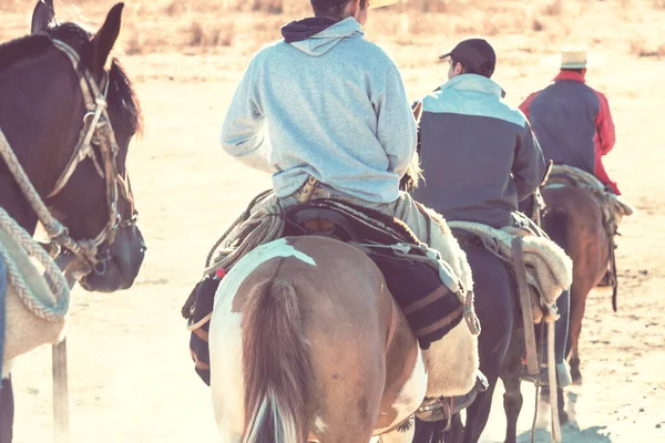 Gauchos Patagonia Montagne Argentina — Foto Stock