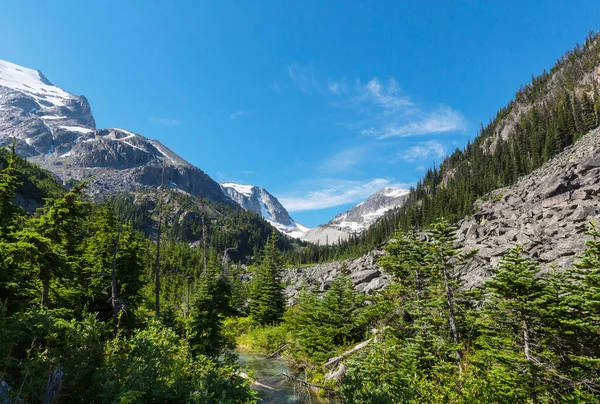 Vue Pittoresque Sur Montagne Dans Les Rocheuses Canadiennes Été — Photo