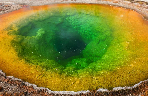 Colorida Piscina Morning Glory Famosa Fuente Termal Parque Nacional Yellowstone — Foto de Stock