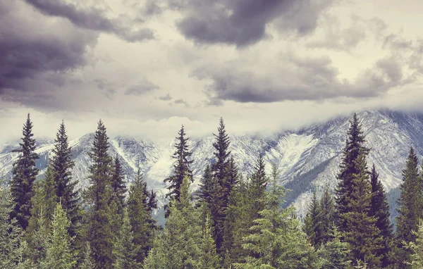 Γραφική Θέα Στο Βουνό Στο Canadian Rockies Κατά Θερινή Περίοδο — Φωτογραφία Αρχείου