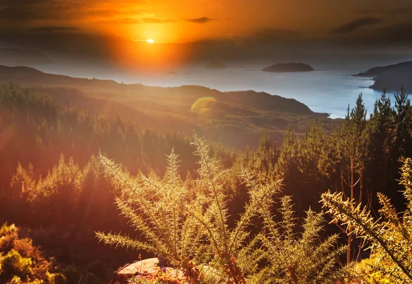 Prachtige Landelijke Landschappen Nieuw Zeeland Reizen Natuurlijke Achtergrond — Stockfoto