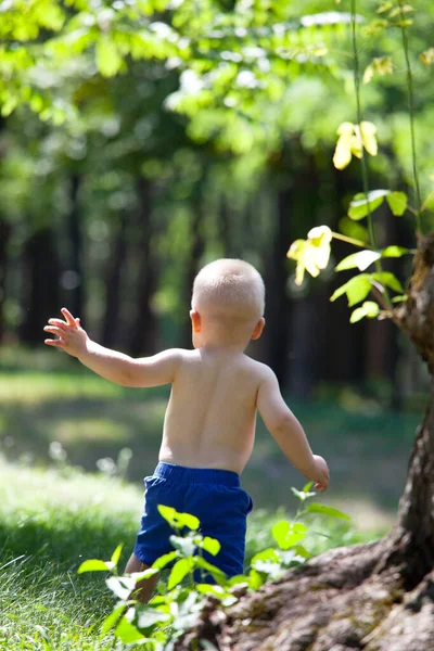 Little Boy His First Steps Summer Park — Stock Photo, Image