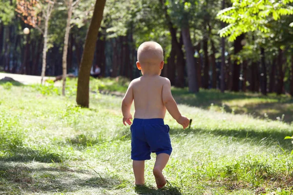 小男孩在夏天的公园里迈出了第一步 — 图库照片