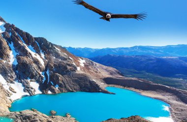 And Akbabası dağların üzerinden uçuyor, Patagonya, Arjantin.