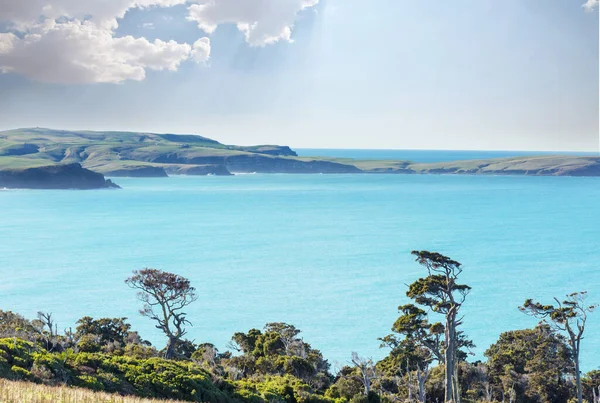Bentang Alam Yang Indah Itu Pantai Samudra Selandia Baru Menginspirasi — Stok Foto