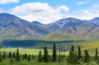 Yazın Alaska 'nın Picturesque Dağları. Kar, kütleleri, buzulları ve kayalık tepeleri kapladı. Güzel doğal arkaplan.