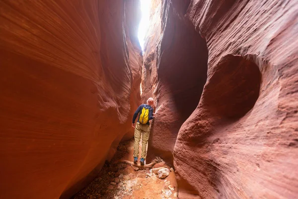 Ranura Cañón Grand Staircase Escalante National Park Utah Formaciones Inusuales —  Fotos de Stock