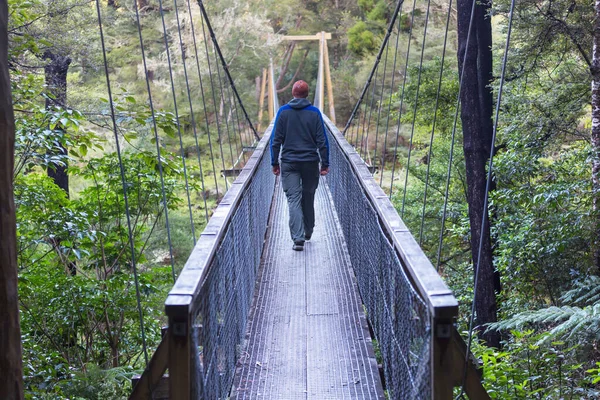 Caminhadas Tramping Nova Zelândia Conceito Viagem Aventura — Fotografia de Stock