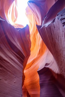 Page, Arizona yakınlarındaki Antilop Kanyonu, ABD