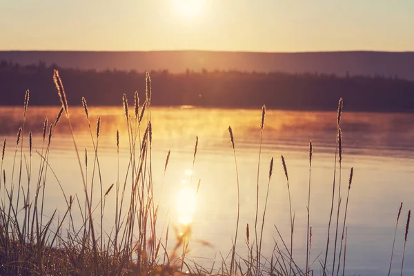 Soluppgångsscenen Vackra Fridfulla Sjön Vacker Naturlig Bakgrund — Stockfoto