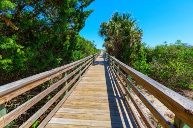 Everglades Ulusal Parkı 'ndaki bataklıkta tahta kaldırımlar, Florida, ABD.